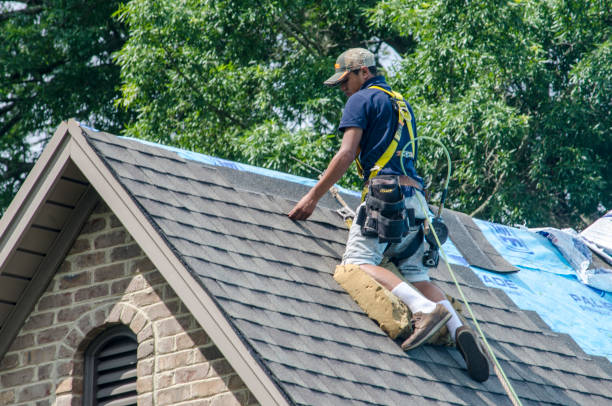 Best Gutter Installation and Roofing  in Temple, GA